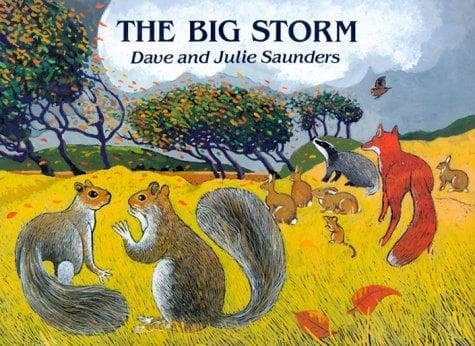 Cover of Big storm