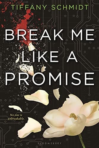 Cover of Break me like a promise