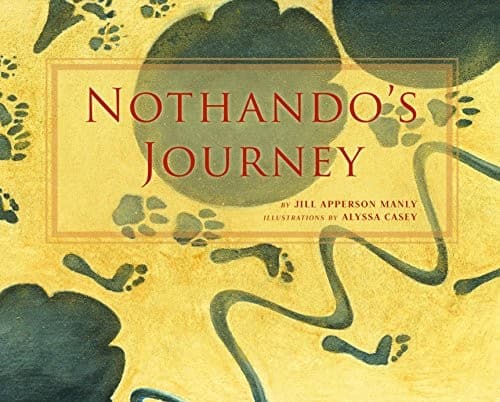 Cover of Nothando's journey