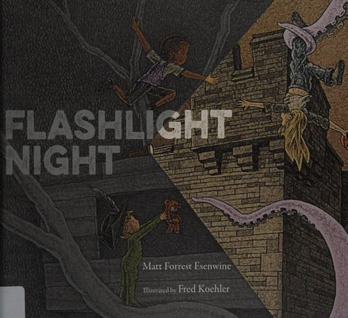 Cover of Flashlight night