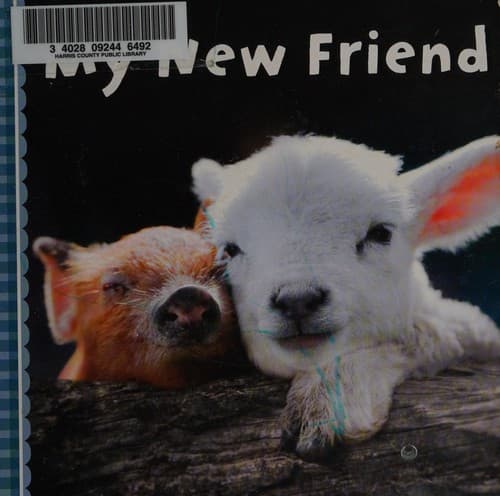 Cover of My new friend