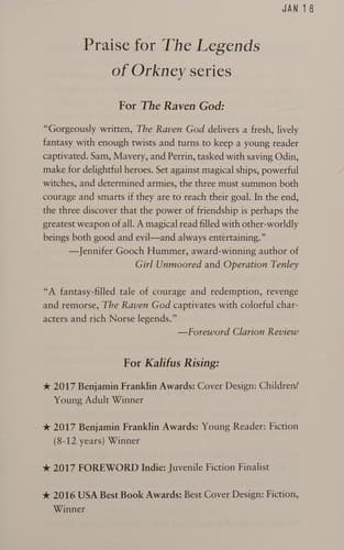 Cover of Raven god