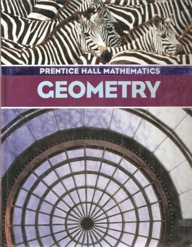 Cover of Geometry (Package Edition-Book and Workbook)