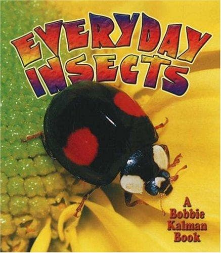 Cover of Everyday insects
