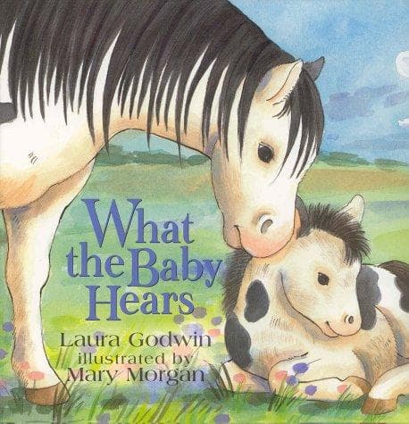 Cover of What the baby hears