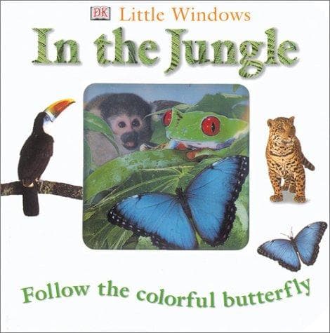 Cover of Little Windows