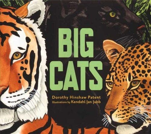 Cover of Big Cats