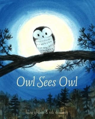 Cover of Owl sees owl