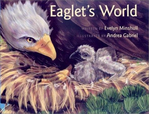Cover of Eaglet's world