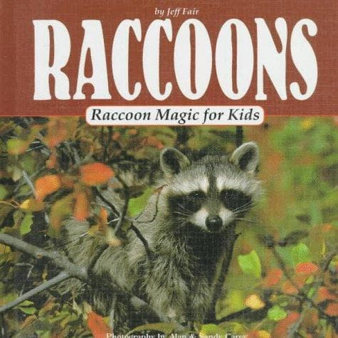Cover of Raccoons