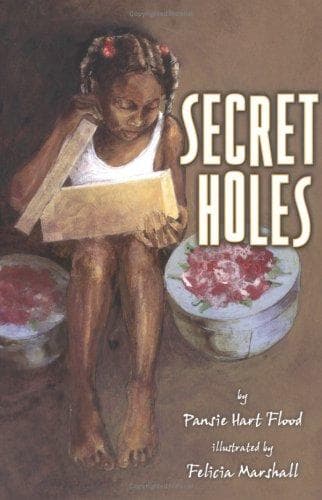 Cover of Secret holes