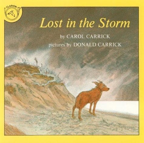 Cover of Lost in the Storm