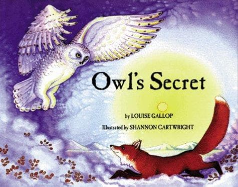 Cover of Owl's secret