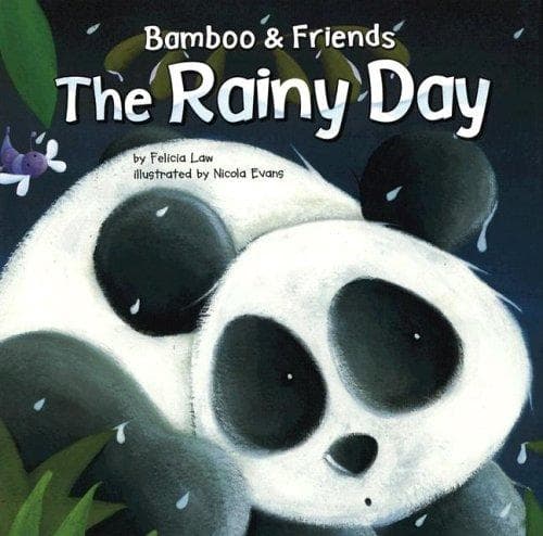 Cover of The rainy day