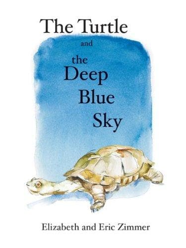 Cover of The turtle and the deep blue sky