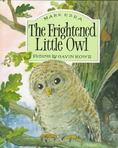 Cover of The frightened little owl