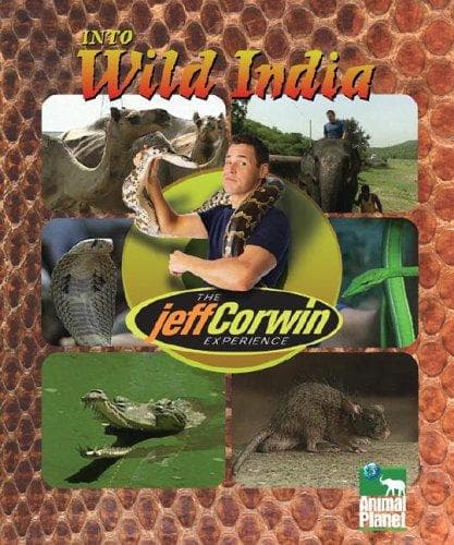 Cover of The Jeff Corwin Experience - Into Wild India (The Jeff Corwin Experience)