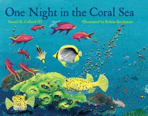 Cover of One Night in the Coral Sea