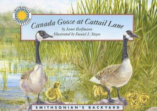 Cover of Canada Goose at Cat Tail Lane