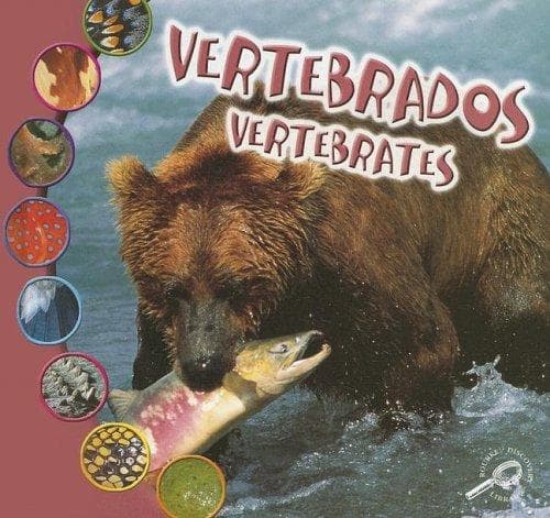 Cover of Vertebrates