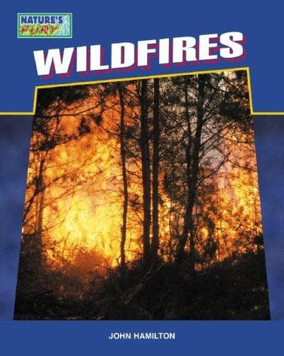 Cover of Wildfires (Nature's Fury)