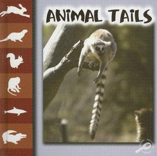 Cover of Animal Tails (Let's Look at Animal)
