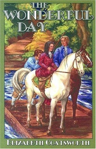 Cover of The wonderful day