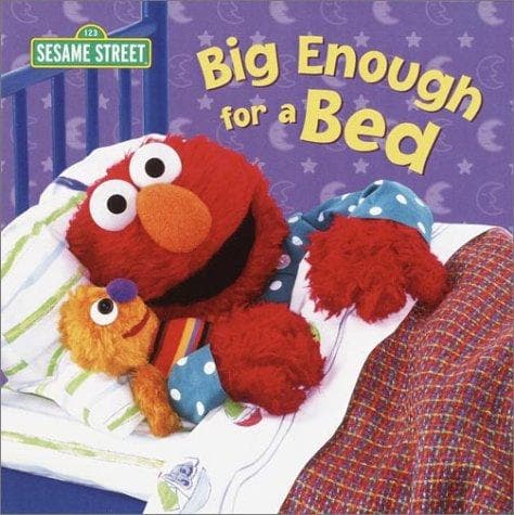 Cover of Big enough for a bed