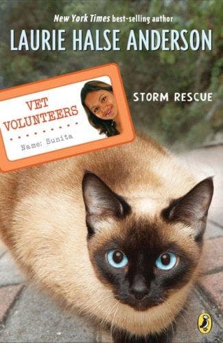 Cover of Storm Rescue