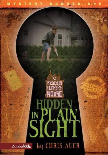 Cover of Hidden in plain sight