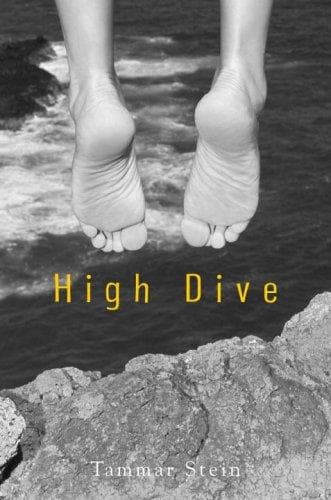 Cover of High dive