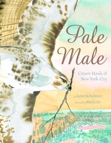 Cover of Pale Male