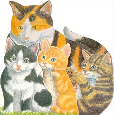 Cover of Animal Babies
