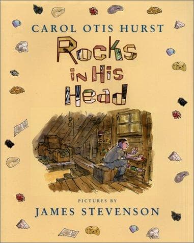 Cover of Rocks in his head