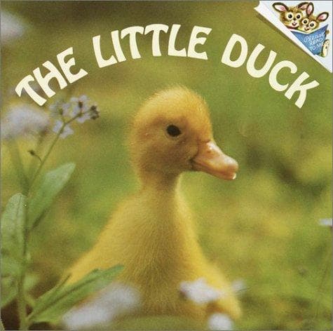 Cover of The little duck