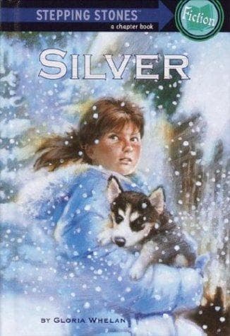 Cover of Silver