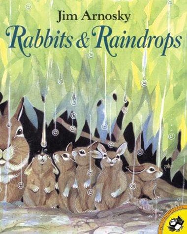 Cover of Rabbits and raindrops
