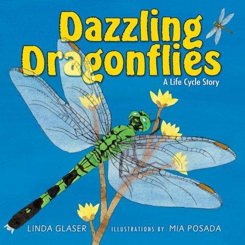 Cover of Dazzling Dragonflies