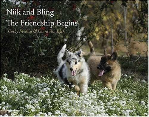 Cover of Niik and Bling