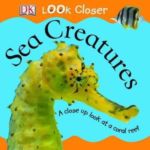 Cover of Sea Creatures (Look Closer)
