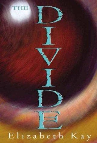 Cover of The Divide
