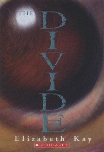 Cover of Divide (The Divide)