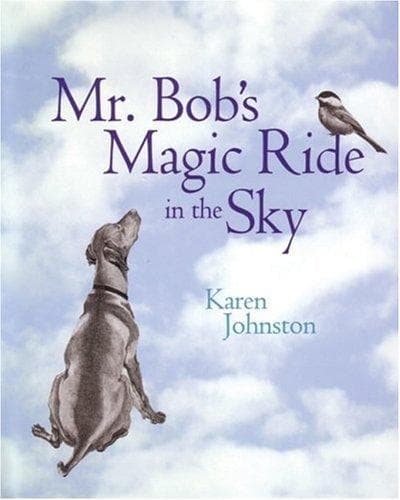 Cover of Mr. Bob's Magic Ride in the Sky