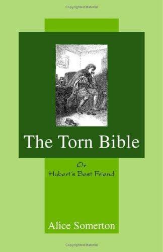 Cover of The Torn Bible