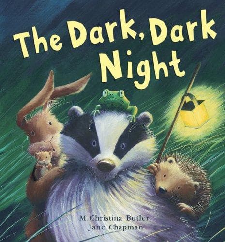 Cover of The dark, dark night