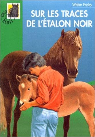 Cover of The Blood Bay Colt