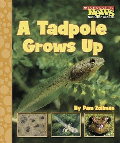 Cover of A Tadpole Grows Up