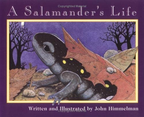 Cover of A Salamander’s Life