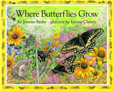 Cover of Where Butterflies Grow