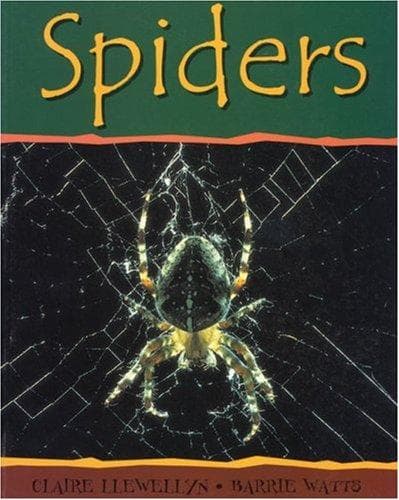 Cover of Spiders (Minibeasts)